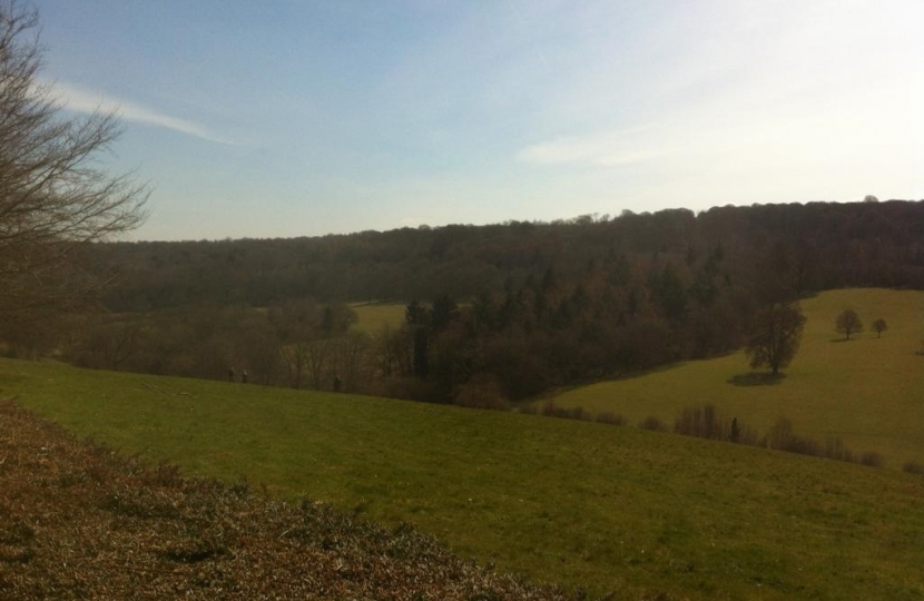 Mole Valley's Green Belt