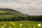 Stock photo of Box Hill