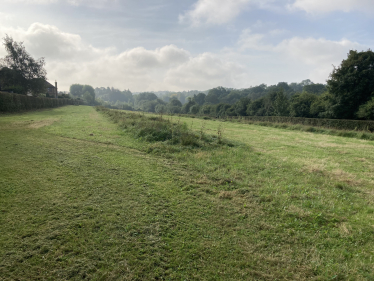 A landscape in Surrey